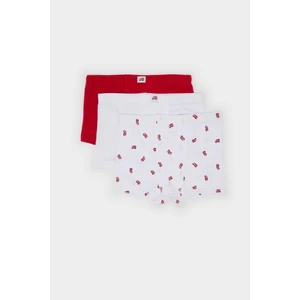Erkek Çocuk Baskılı 3'lü Boxer E1569A824AU