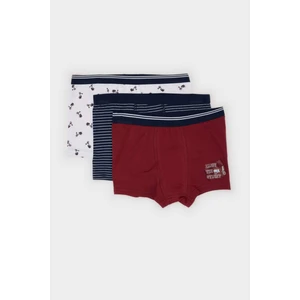 Erkek Çocuk Desenli 3'lü Boxer B8412A824AU