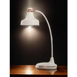 40 cm  Modern Masa Lambası Fele x ible Boyun Tasarımı Oturma Odası Başucu Lambası Restoran Bar Masa Lambası USB Şarj Edilebilir Masa Lambası 1979