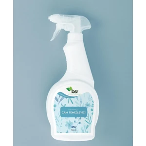 Cam Temizleme Maddesi 750 ml