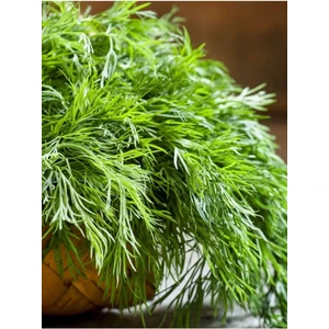 Aksaray Tohumculuk Bol Kokulu Dereotu Tohumu 200 Adet Tohum Aksaray Tohumculuk