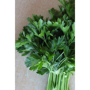 Aksaray Tohumculuk Geniş Yaprak Maydanoz Tohumu 250 Adet Tohum Aksaray Tohumculuk