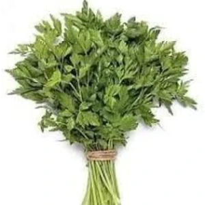 Aksaray Tohumculuk İri Yaprak Maydanoz Tohumu 250 Adet Tohum Aksaray Tohumculuk