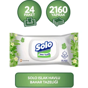Islak Havlu Kapaklı 90 Yaprak 24'lü Set 2160 Yaprak