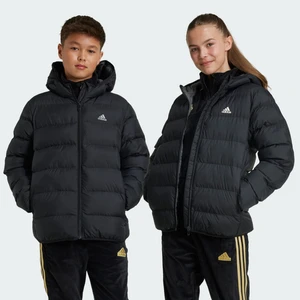 Adidas Sportswear IV9505 Synthetic Down Jacket