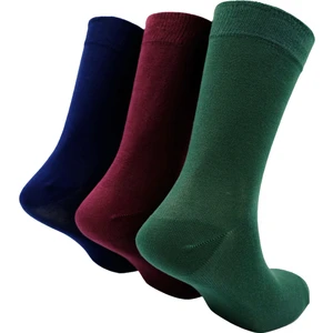 Erkek Bambu Çorap 3'lü Paket (41-46) Yeşil Bordo Lacivert Çorap