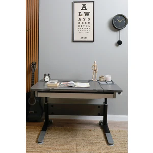 Creo Mobili Yükseklik ve Eğim Ayarlı, Çekmeceli, Sirius Basic Çalışma Masası 120x75 cm, Antrasit/Gri