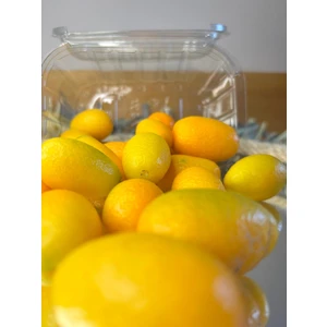 BRF Tropikal Kamkat 1 kg