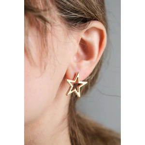 Gold Ince Yıldız Küpe