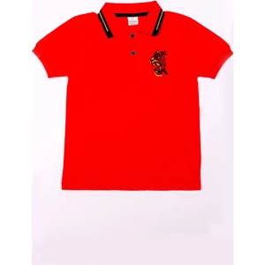 Erkek Çocuk Tshirt Polo Yaka A7