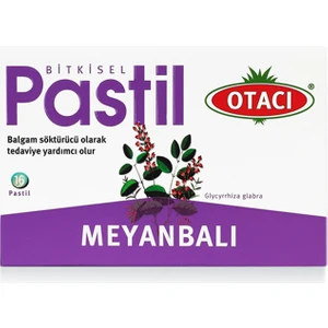 Pastil Meyanbalı 16 Pastil