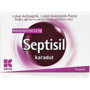 Karadut 16 Pastil