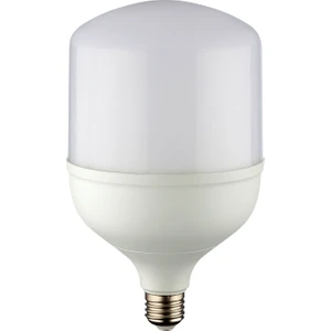 YL95 6001 60W 6500K Beyaz Işık LED Torch Ampul