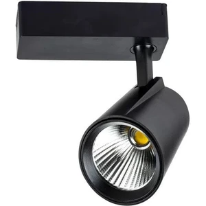 40W 6500K Beyaz Işık Siyah Lyon LED Ray Spot YL29 4001