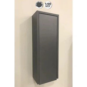 Çok Amaçlı Banyo Boy Dolabı 70 cm Mdf Antrasit Gri Mat Renkli