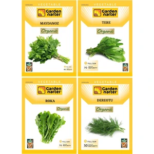 4 Paket Yeşillik Koleksiyonu Doğal Organik Maydanoz Tere Roka Dereotu Tohumu 4 Pakette 40 gr Tohum