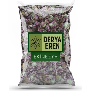 Derya Eren Ekinezya Çiçeği (Echinacea Angustifolia) 1 kg