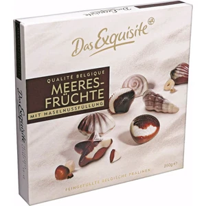 Das Exquisite Kutu Çikolata Deniz Kabukları 250 gr