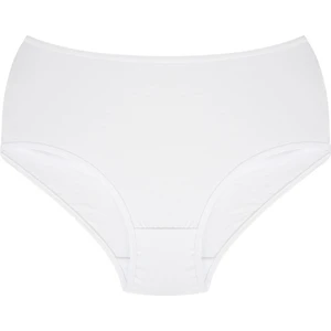Kadın Büyük Beden Külot Beyaz 40264