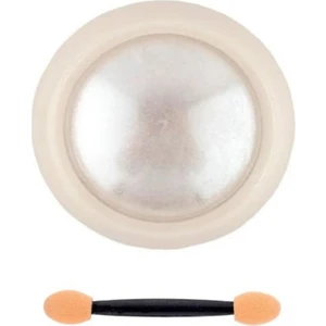 Anil Professional Cosmetics Inci Tozu Silver Beyaz Nail Art Tırnak Süsleme