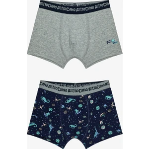 Erkek Çocuk Astro Dino Çok Renkli 2li Boxer