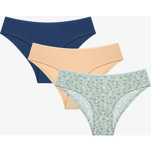 Daisy Day Pamuklu 3lü Çok Renkli Hipster Külot