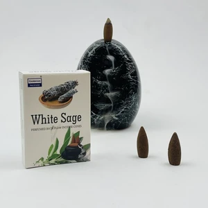 Darshan Incense White Sage Geri Akış (Back Flow) Tütsü 10 Adet