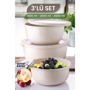 3'lü Set Ayza Buzdolabı Düzenleyici - Mikrodalga Ve Difriz Uyumlu Saklama Kabı 1500-2500-4500 ml