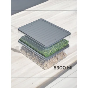 Nesto Home 2'li Set Derin 5300 ml Buzdolabı Düzenleyici Buzluk ve Mikrodalga Saklama Kabı 2XX5300