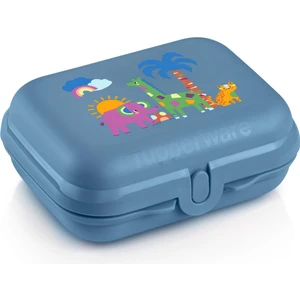 Taşıma Kabı Safari Mavi