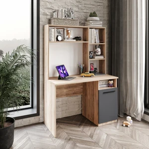 Izmir Çalışma Masası Flora Antrasit Tamamı Mdf