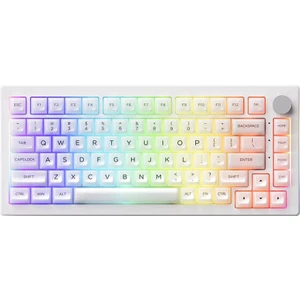 5075B Plus Shine-Through Rgb Kablosuz Hotswap Mekanik Gaming Klavye