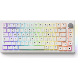 5075B Plus Air Rgb Kablosuz Hotswap Mekanik Gaming Klavye