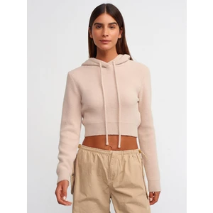 10486 Yumuşak Dokulu Kapşonlu Crop Kazak-Bej