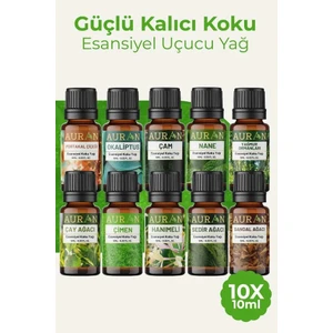 Doğa Set Saf Esansiyel Uçucu Yağ Buhurdanlık Yağı Difüzör Esansı Aromaterapi Ortam 10x 10 ml