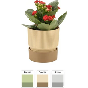IXORA15 Polyester Saksı / Floralia Plant