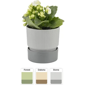 IXORA15 Polyester Saksı / Floralia Plant