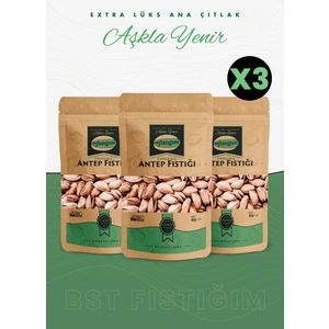Antep Fıstığı (Kabuklu-Kavrulmuş) Extra Lüks Ana Çıtlak 90 Gram, 3'lü Paket