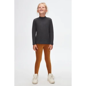 Antrasit Basic Kışlık Yarım Balıkçı Yaka Uzun Kollu Kız Çocuk Tişört