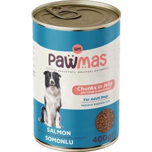 Somonlu Yetişkin Köpek Konservesi 400 gr