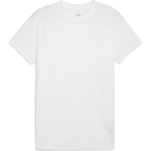 Evostripe Tee Erkek T-Shirt