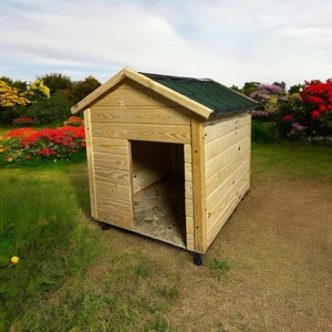 Köpek Kulubesi