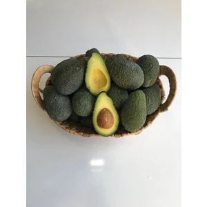 Hass Avokado