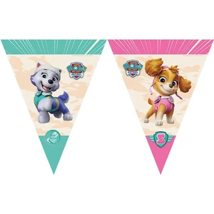 Paw Patrol Skye Lisanslı Bayrak Set (2,90M)