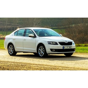 Skoda Octavia Sedan Bagaj Amortisörü Takım Sağ-Sol 2013-2017