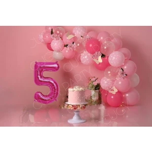 Kız Çocuk 5 Yaş Pembe Kelebek Detaylı Yaş Seçenekli Mini Doğum Günü Parti Seti