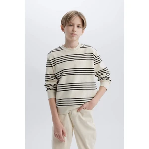 Erkek Çocuk Bisiklet Yaka Çizgili Sweatshirt D7716A825SP