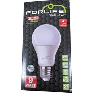 Forlıfe FL-1256 E27 Duy 12-24V 9W LED Ampul