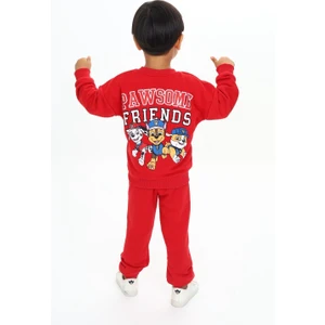 Cg Kids Paw Patrol Karakterli Kız&erkek Eşofman Takım