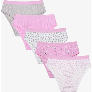 Kız Çocuk Dog Family 5li Çok Renkli Slip Külot